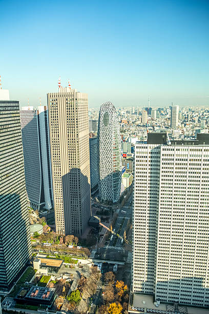 istock Tokyo city line with Skytree tower 504420046