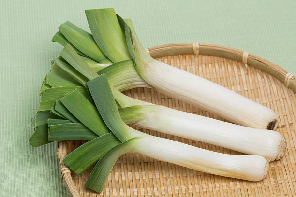 istock Western length green onion leek 504423754