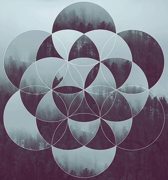 Collage with the forest and flower of life vector art illustration