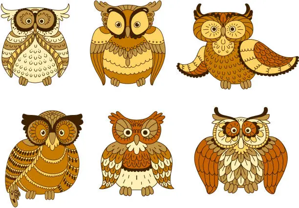 Vector illustration of Brown and yellow spotted forest owl birds