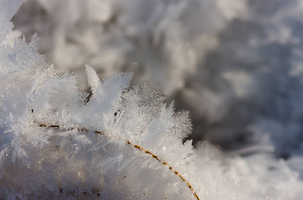 istock Snow and hoarfrost close 504429730