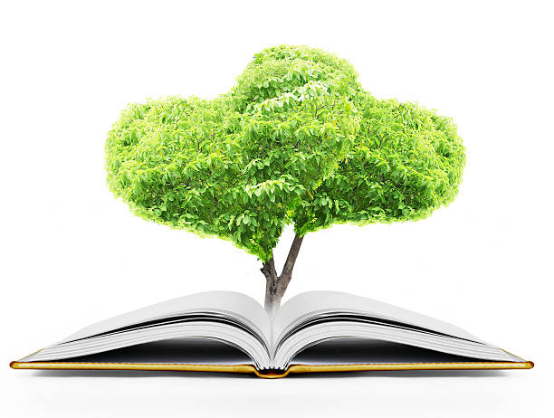 istock book of fantasy stories 504431714