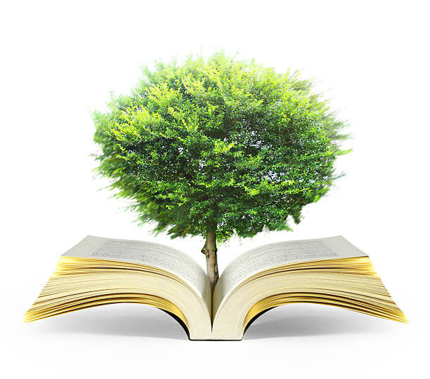 istock book of fantasy stories 504431754