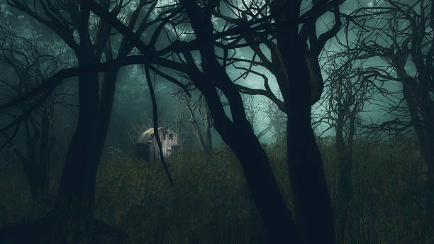 istock Dilapidated barn in creepy winter forest. 504445294