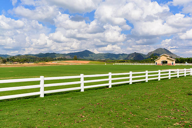 istock Green meadow with blue sky and white fence 504449094