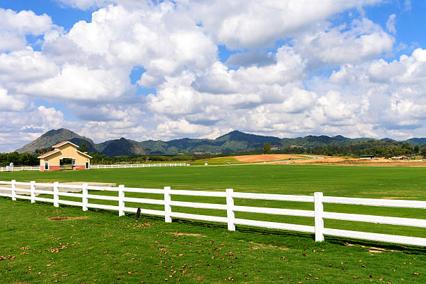 istock Green meadow with blue sky and white fence 504449962