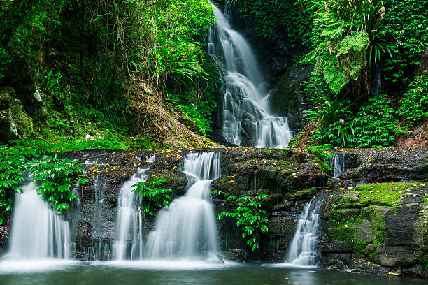 아름다운 폭포 - rainforest australia river waterfall 뉴스 사진 이미지