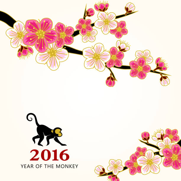 Chinese new year peach flowers Peach flower painting for chinese year of the monkey 2016. 2016 stock illustrations