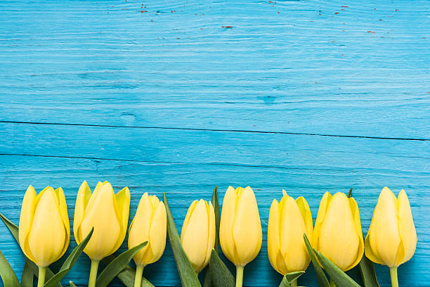 istock Fresh tulips flowers on wooden table 504456232