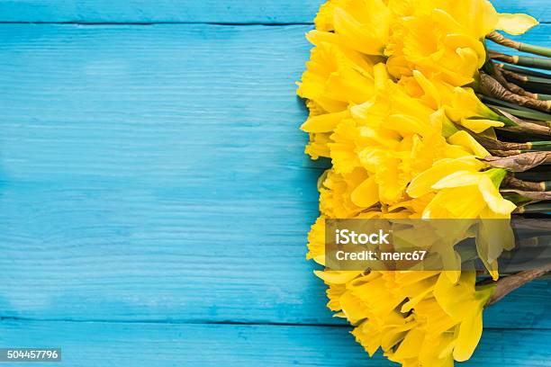 Daffodils On Wooden Background Stock Photo - Download Image Now - Blossom, Daffodil, Flower