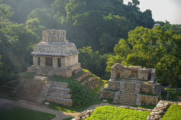 istock Mayan ruins in Palenque, Chiapas, Mexico. 504460138