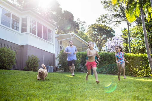 Australian aboriginal family enjoying in the front yard at home on a sunny day, kids are running with their dog and parents are in the background.