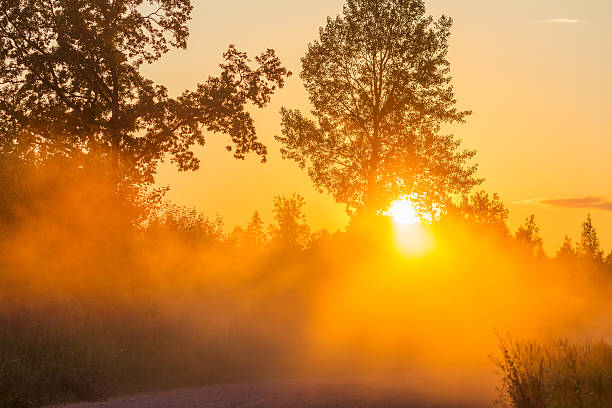 istock Misty dawn with sunbeams dust dusty fog 504477360