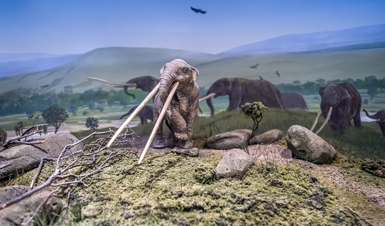 Small model of elephants in ancient times.