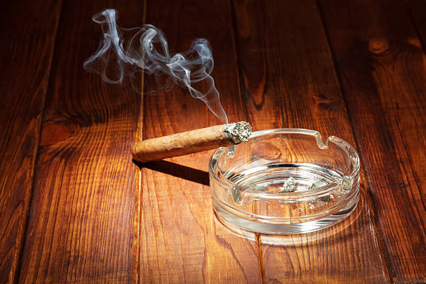 istock Smoking cigar in an ashtray 504482203