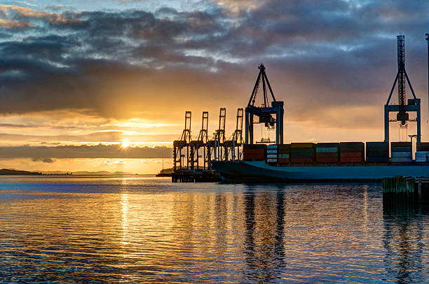 An image of the Auckland docks