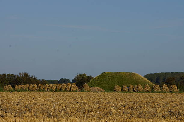 istock Hill with yellow tree's and a forest in their back 504483957