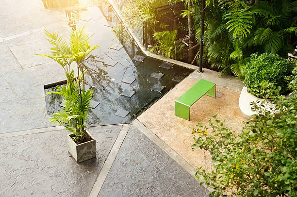 istock palm tree in pot on the public park 504486240