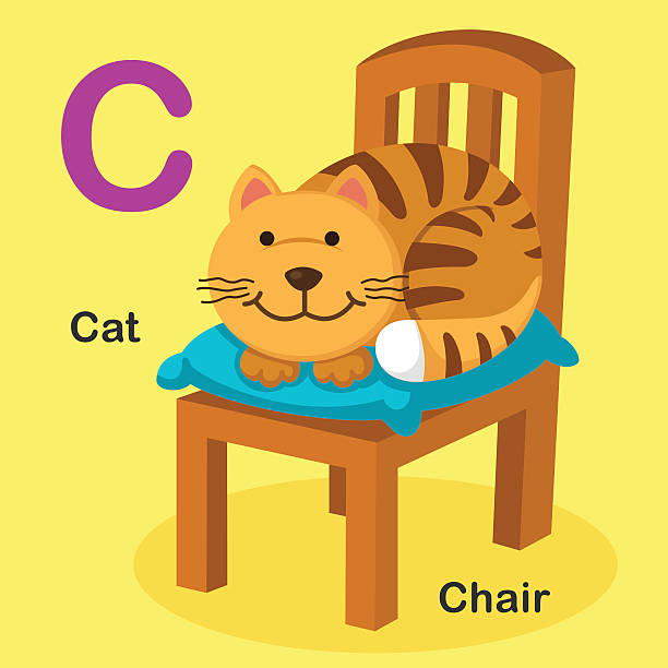 Illustration Isolated Animal Alphabet Letter Ccat Chair Stock
