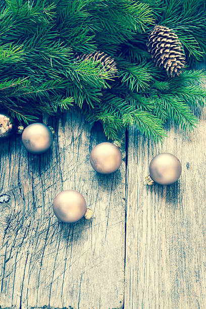 istock Fir tree branch/holiday background/toned photo 504487822