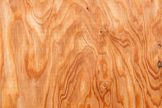 istock Grain of the plate 504491874