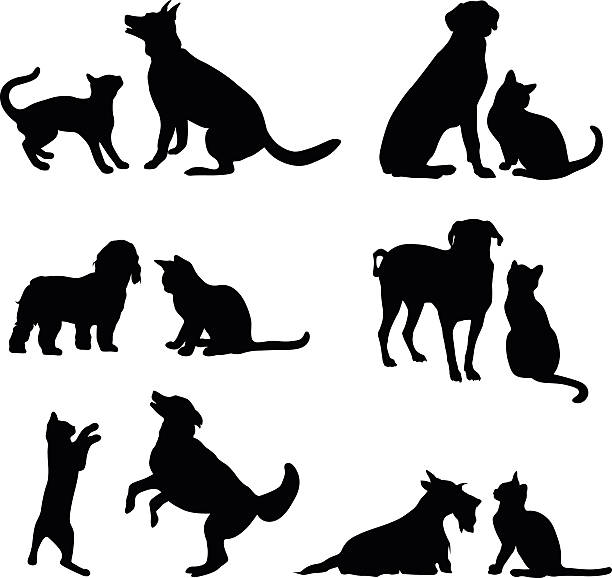 A vector silhouette illustration of multiple images of the freindship between a cat and dog either playing or posing together.