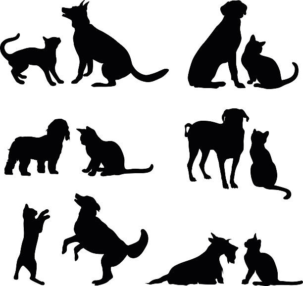 ilustraciones, imágenes clip art, dibujos animados e iconos de stock de gato y perro con amigos - black labrador black dog retriever