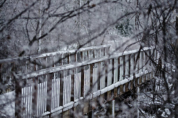 istock Snow Covered Footbridge Hidden Behind the Frozen Branches 504493380