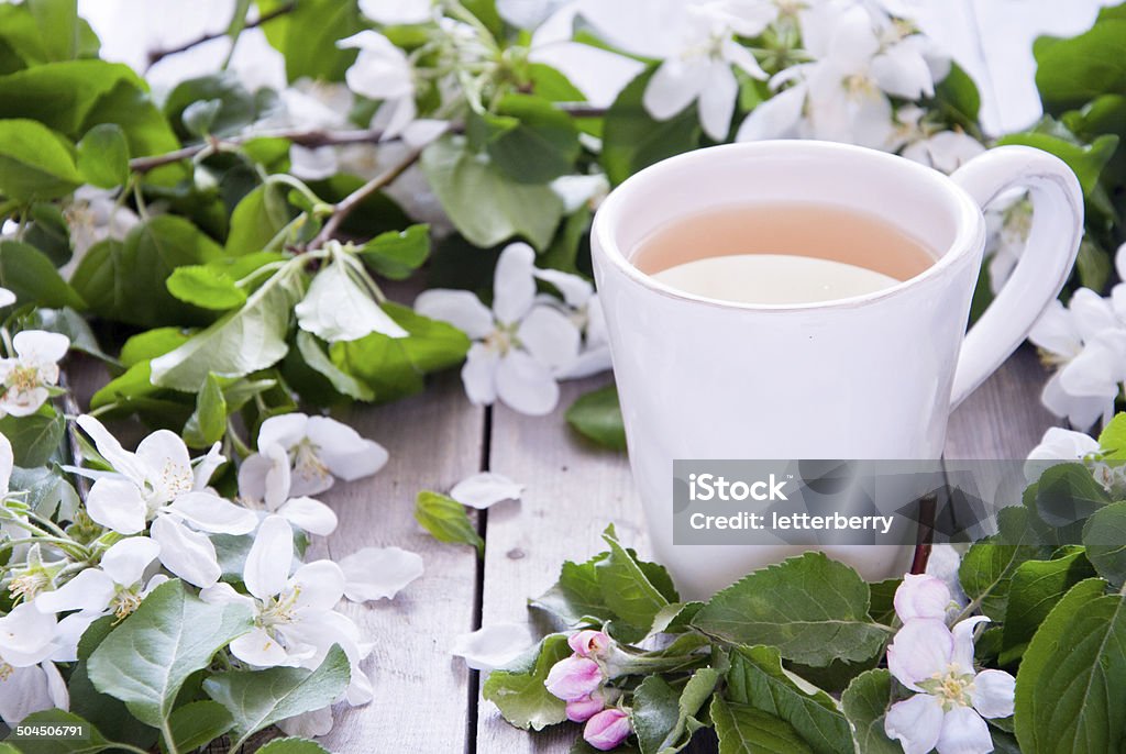 Cup of green tea and blossom Apple Blossom Stock Photo