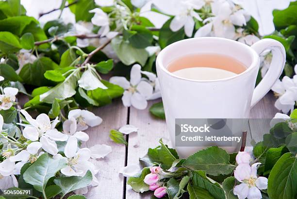 Cup Of Green Tea And Blossom Stock Photo - Download Image Now - Apple Blossom, Black Tea, Blossom