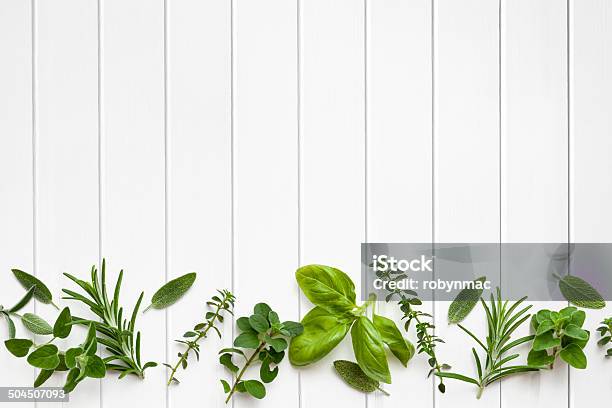 Fresh Herbs Border Stock Photo - Download Image Now - Backgrounds, Basil, Border - Frame