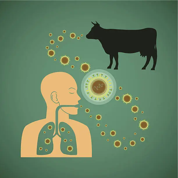 Vector illustration of Vector concept of man and animal respiratory pathogenic tuberculosis virus