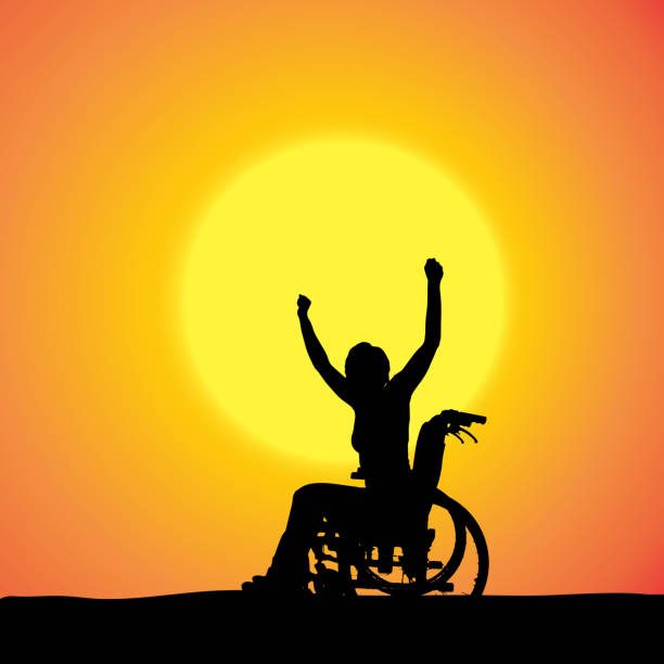 istock Vector silhouettes of woman in a wheelchair. 504511243