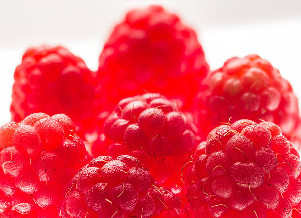 raspberry close up