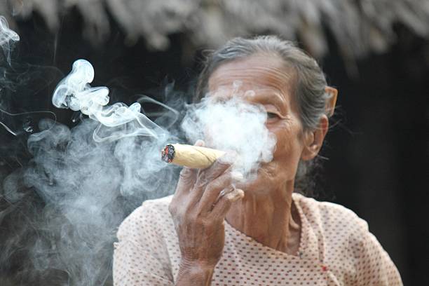 asiático mulher fumar um charuto - handroll imagens e fotografias de stock