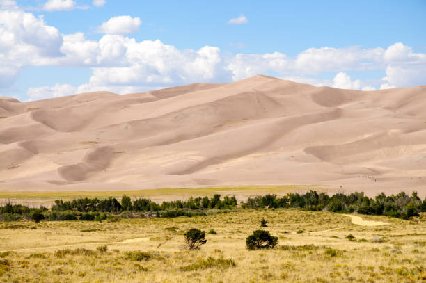 istock Great Sand Dunes National Park and Preserve 504523006