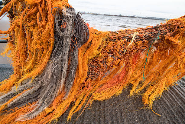 istock Weathered Fishing Net 504523538