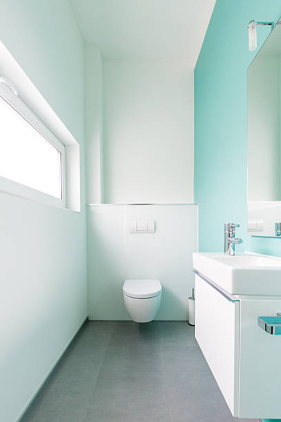 Toilet Modern guest toilet in a family homeModern guest toilet in a family home guest bathroom stock pictures, royalty-free photos & images
