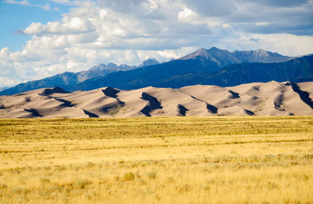 istock Great Sand Dunes National Park and Preserve 504526494