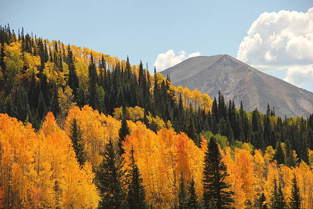 색상화 콜로라드 추절 마운틴 - rocky mountains colorado autumn rural scene 뉴스 사진 이미지