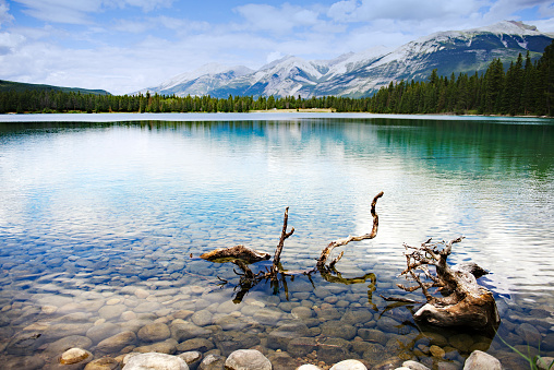 Beautiful turquoise colored and transparent lake Annette in Jasper National Park,Canada. Some dead branches in the foreground.