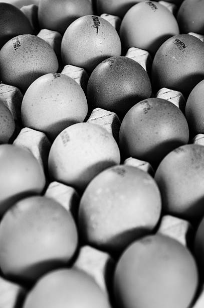 istock Chicken eggs in a market in Provence 504529132