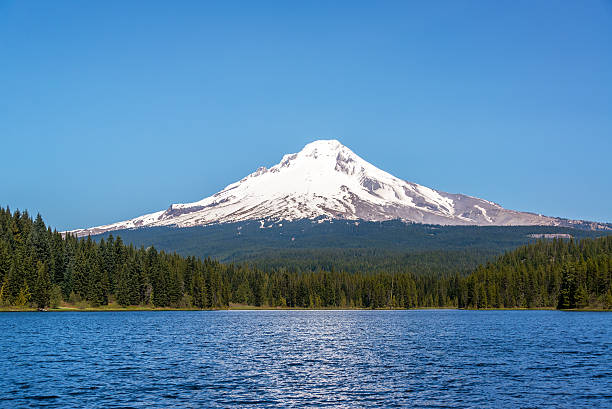 istock Beautiful Mt. Hood and Trillium Lake 504530672
