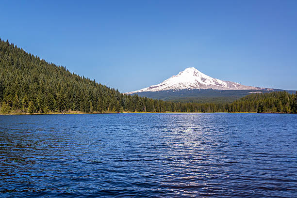 istock Mt. Hood and Trillium Lake 504530720