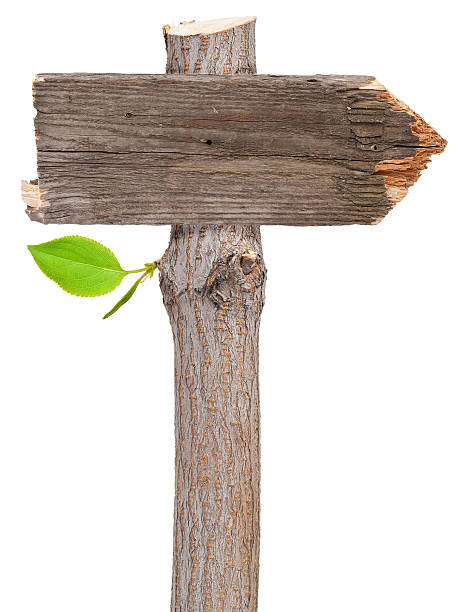 istock Wooden sign 504532932