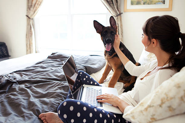 istock Women enjoy at home with her dog. 504534490