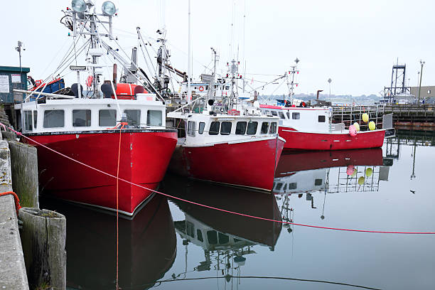 istock Lobster Boats in Harbour, Digby, Canada 504536060