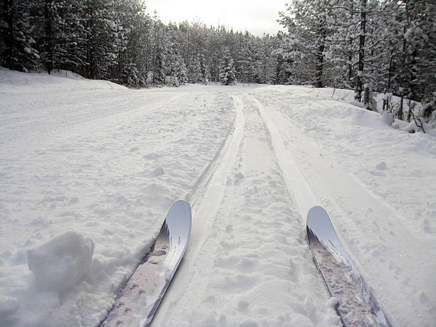 istock cross-country fun 504536998
