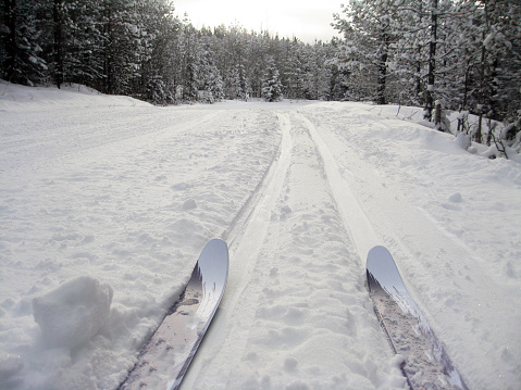 Cross-country skiing in Kananaskis,Alberta,Canada.