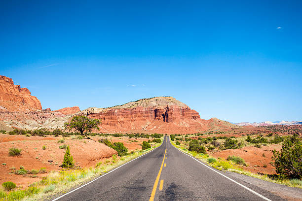 istock Straight road through empty wilderness in Utah 504539025